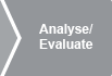 Analyse/Evaluate